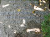 image of grave number 366021